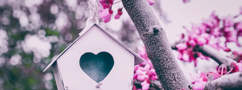 Birdhouse Making Coupons